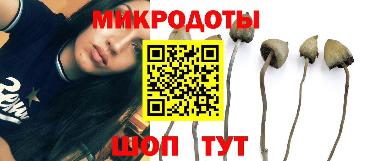 Галлюциногенные грибы MAGIC MUSHROOMS  Вход с VPN  наркота  Шелехов 