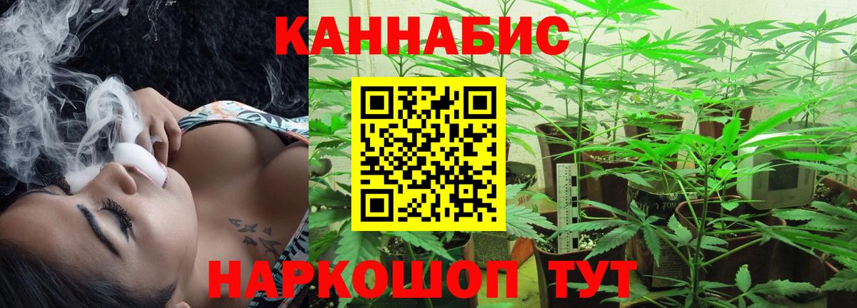 Канабис Bruce Banner  Каннабис план  Шелехов  Вход с VPN  Бошки Шишки ГИДРОПОН 
